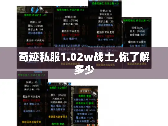 奇迹私服1.02w战士,你了解多少 奇迹私服1.02w战士,你了解多少