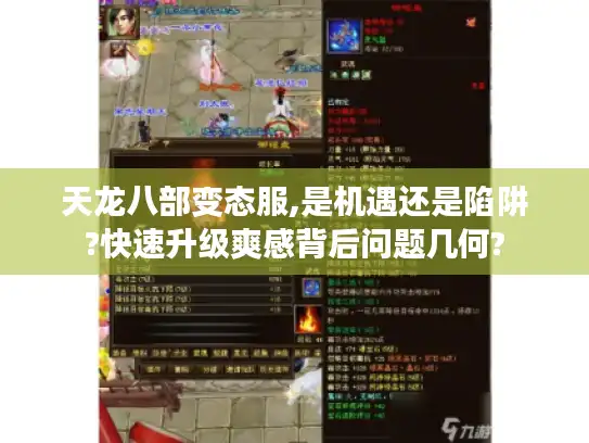 天龙八部变态服,是机遇还是陷阱?快速升级爽感背后问题几何?