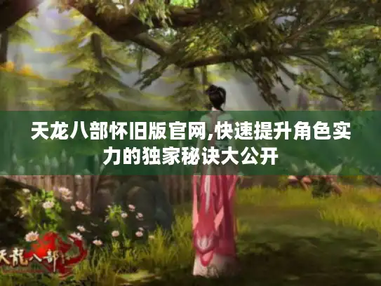 天龙八部怀旧版官网,快速提升角色实力的独家秘诀大公开