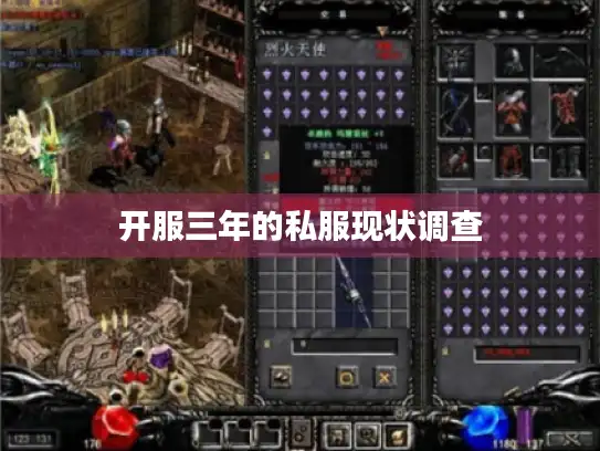 开服三年的私服现状调查