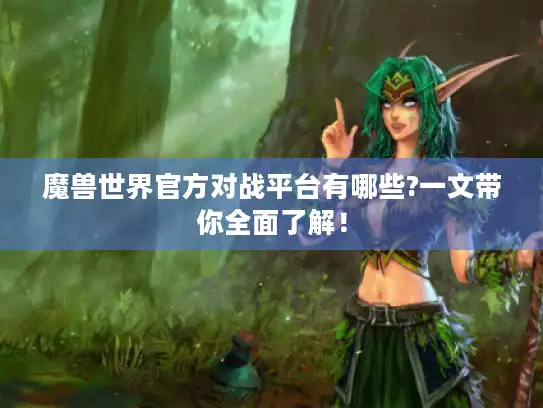 魔兽世界官方对战平台有哪些?一文带你全面了解！