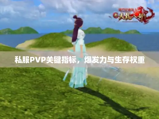 私服PVP关键指标，爆发力与生存权重