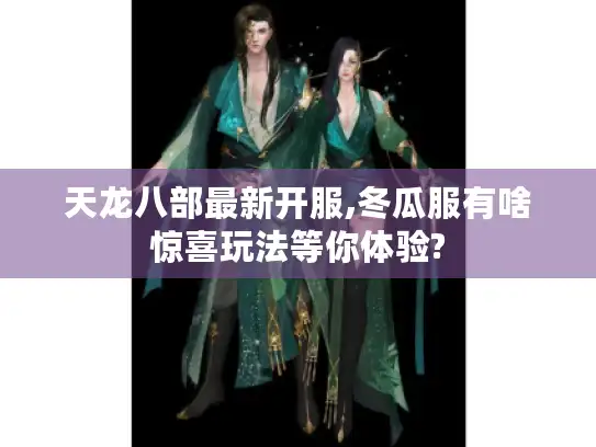 天龙八部最新开服,冬瓜服有啥惊喜玩法等你体验?