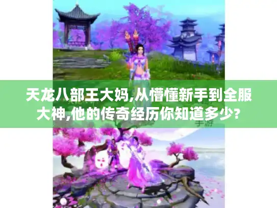 天龙八部王大妈,从懵懂新手到全服大神,他的传奇经历你知道多少?