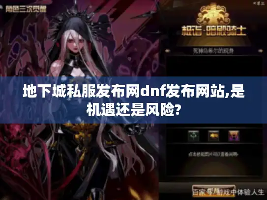 地下城私服发布网dnf发布网站,是机遇还是风险?