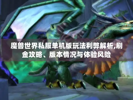 魔兽世界私服单机版玩法利弊解析,刷金攻略、版本情况与体验风险