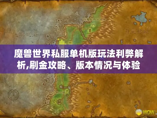 魔兽世界私服单机版玩法利弊解析,刷金攻略、版本情况与体验风险