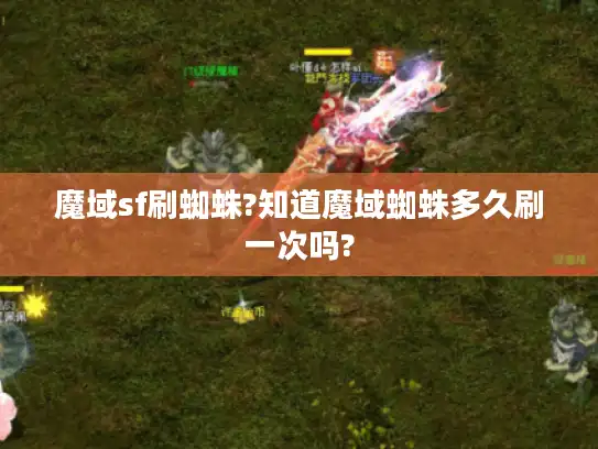 魔域sf刷蜘蛛?知道魔域蜘蛛多久刷一次吗?