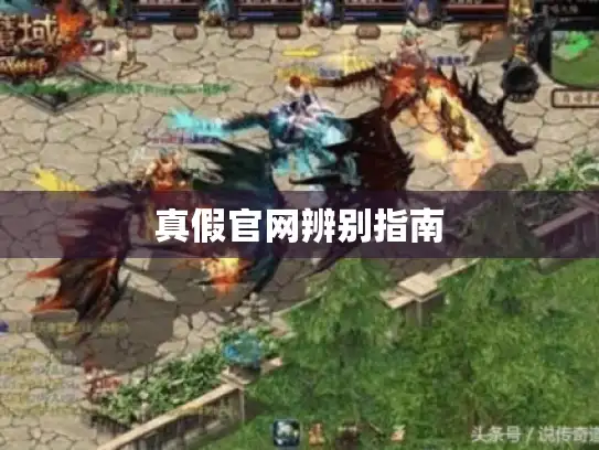 真假官网辨别指南