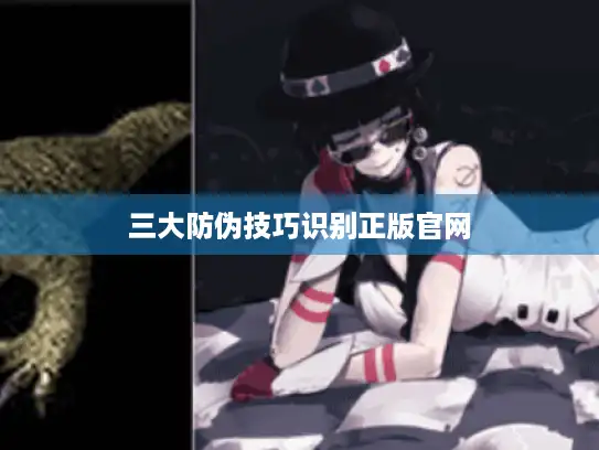 三大防伪技巧识别正版官网