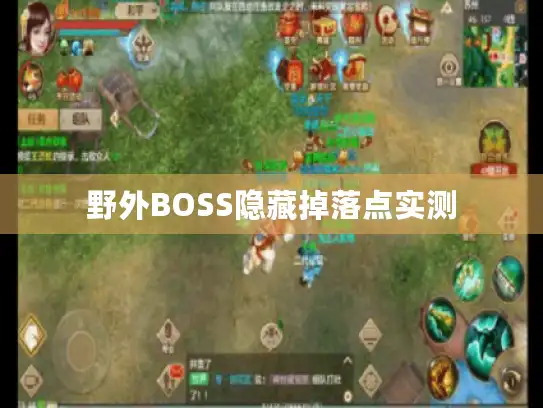 野外BOSS隐藏掉落点实测