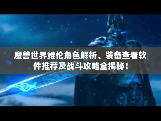 魔兽世界维伦角色解析、装备查看软件推荐及战斗攻略全揭秘！