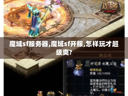 魔域sf服务器,魔域sf开服,怎样玩才超级爽?