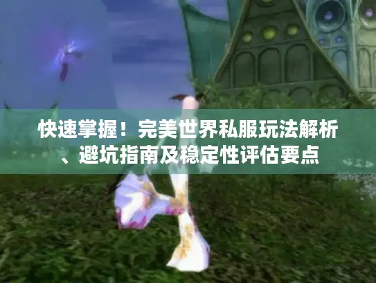 快速掌握！完美世界私服玩法解析、避坑指南及稳定性评估要点