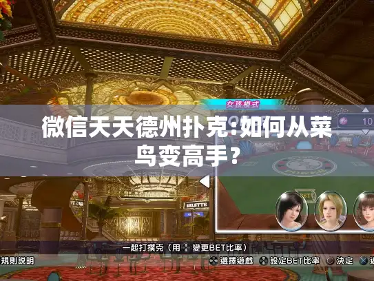 微信天天德州扑克:如何从菜鸟变高手？