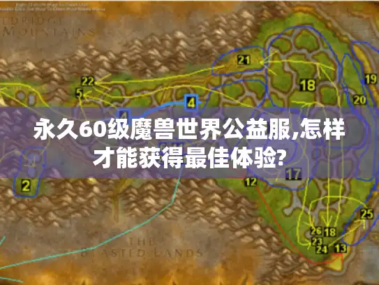 永久60级魔兽世界公益服,怎样才能获得最佳体验?
