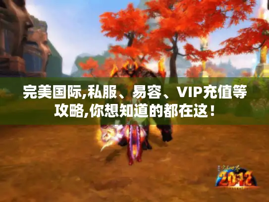 完美国际,私服、易容、VIP充值等攻略,你想知道的都在这！