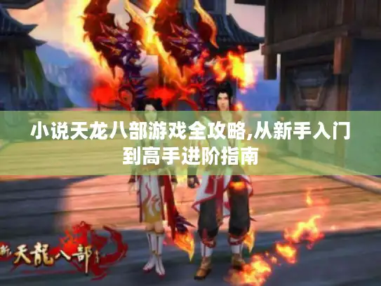 小说天龙八部游戏全攻略,从新手入门到高手进阶指南