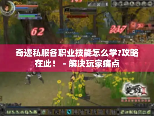 奇迹私服各职业技能怎么学?攻略在此！ - 解决玩家痛点