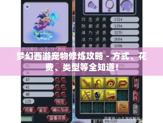 梦幻西游宠物修炼攻略 - 方式、花费、类型等全知道！