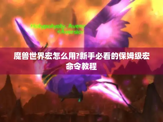 魔兽世界宏怎么用?新手必看的保姆级宏命令教程