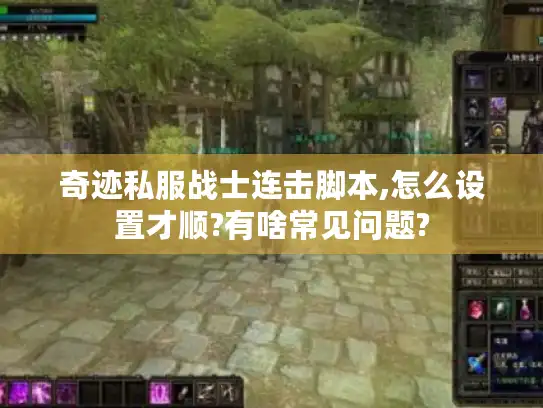 奇迹私服战士连击脚本,怎么设置才顺?有啥常见问题?