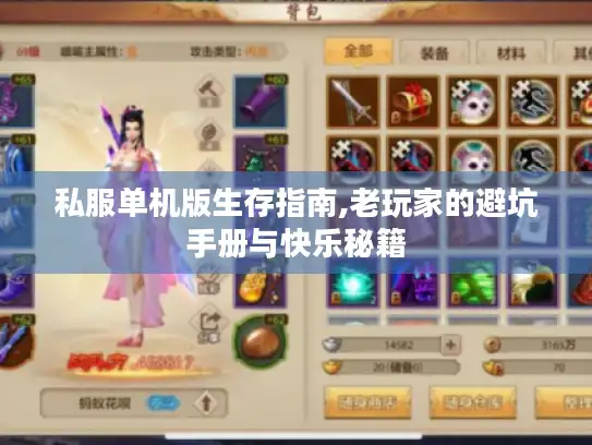 私服单机版生存指南,老玩家的避坑手册与快乐秘籍