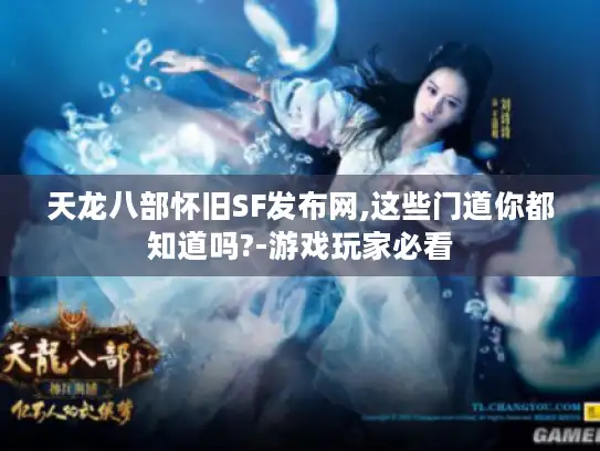 天龙八部怀旧SF发布网,这些门道你都知道吗?-游戏玩家必看