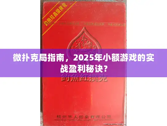 微扑克局指南，2025年小额游戏的实战盈利秘诀？