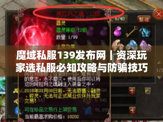 魔域私服139发布网｜资深玩家选私服必知攻略与防骗技巧