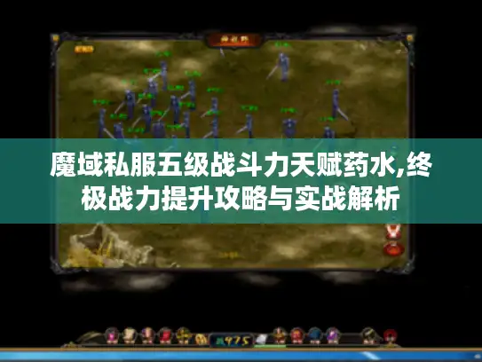 魔域私服五级战斗力天赋药水,终极战力提升攻略与实战解析 魔域私服五级战斗力天赋药水,终极战力提升攻略与实战解析