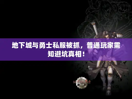 地下城与勇士私服被抓，普通玩家需知避坑真相！