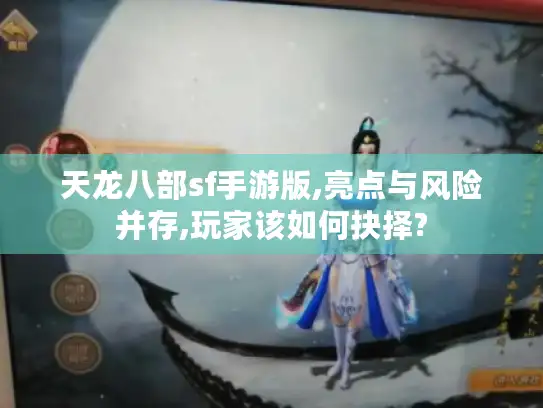 天龙八部sf手游版,亮点与风险并存,玩家该如何抉择? 天龙八部sf手游版,亮点与风险并存,玩家该如何抉择?