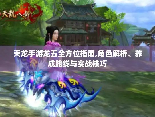 天龙手游龙五全方位指南,角色解析、养成路线与实战技巧