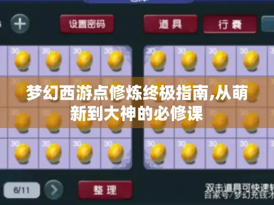 梦幻西游点修炼终极指南,从萌新到大神的必修课