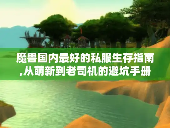 魔兽国内最好的私服生存指南,从萌新到老司机的避坑手册