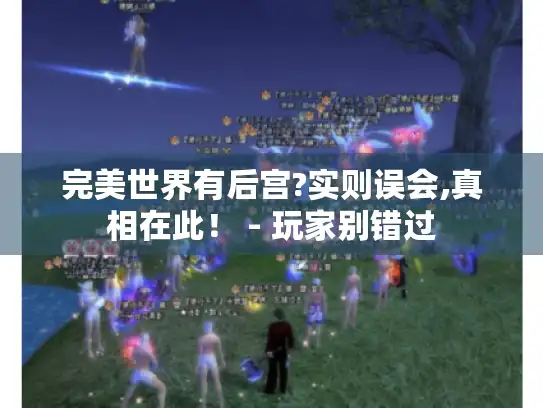 完美世界有后宫?实则误会,真相在此! - 玩家别错过 完美世界有后宫?实则误会,真相在此! - 玩家别错过