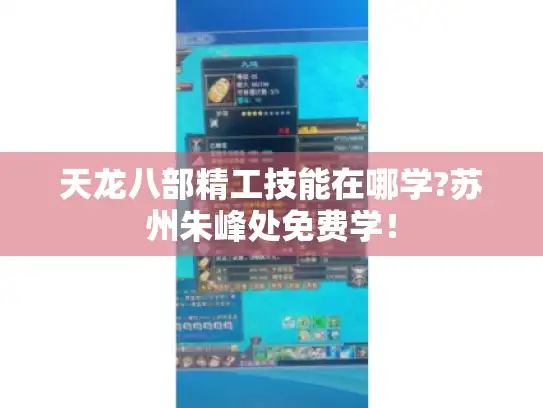 天龙八部精工技能在哪学?苏州朱峰处免费学！