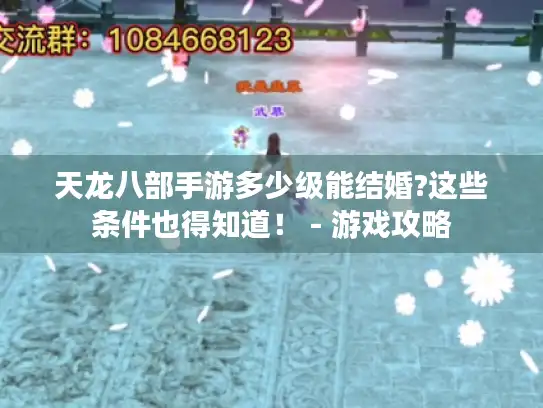 天龙八部手游多少级能结婚?这些条件也得知道！ - 游戏攻略