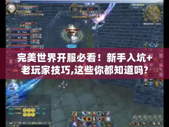 完美世界开服必看！新手入坑+老玩家技巧,这些你都知道吗?