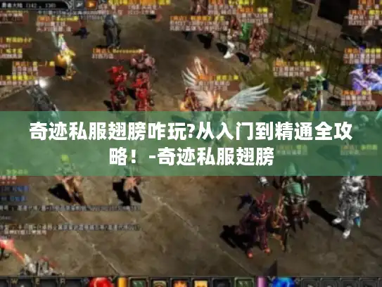 奇迹私服翅膀咋玩?从入门到精通全攻略！-奇迹私服翅膀