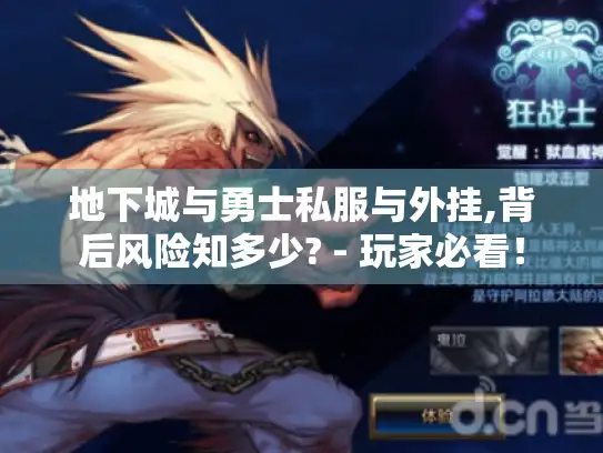 地下城与勇士私服与外挂,背后风险知多少? - 玩家必看！