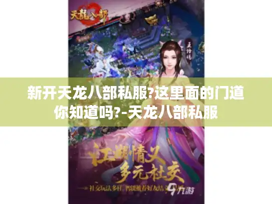 新开天龙八部私服?这里面的门道你知道吗?-天龙八部私服