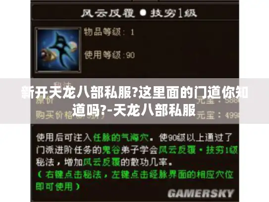 新开天龙八部私服?这里面的门道你知道吗?-天龙八部私服