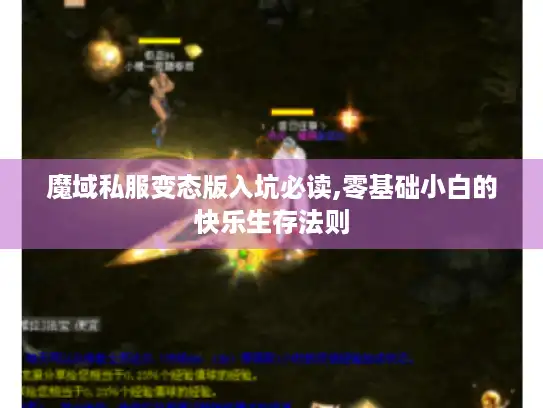 魔域私服变态版入坑必读,零基础小白的快乐生存法则 魔域私服变态版入坑必读,零基础小白的快乐生存法则