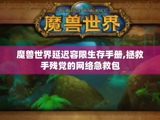 魔兽世界延迟容限生存手册,拯救手残党的网络急救包