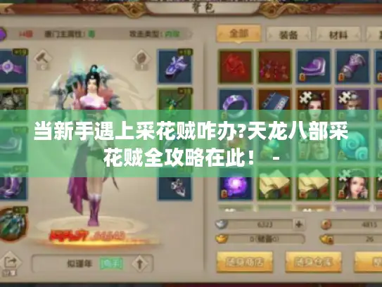 当新手遇上采花贼咋办?天龙八部采花贼全攻略在此！ -