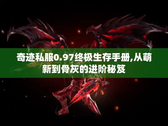 奇迹私服0.97终极生存手册,从萌新到骨灰的进阶秘笈