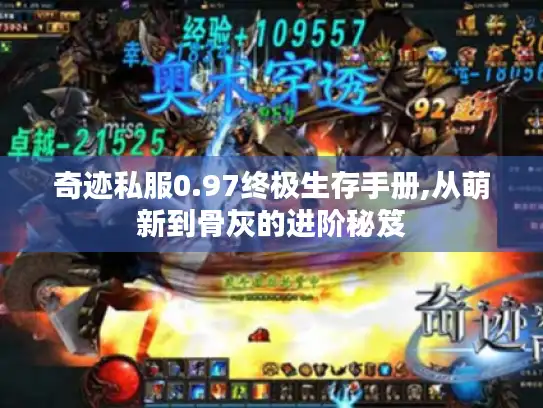 奇迹私服0.97终极生存手册,从萌新到骨灰的进阶秘笈