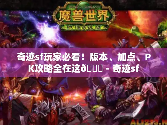 奇迹sf玩家必看！版本、加点、PK攻略全在这😜 - 奇迹sf